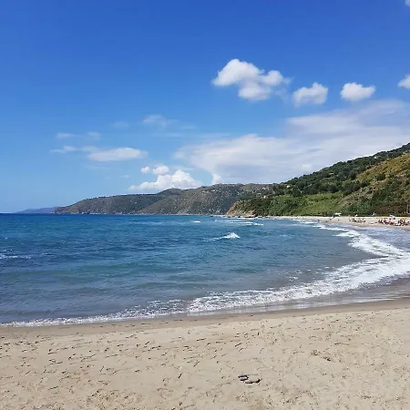 Petra Marina Maris *